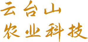 焦作市青峰網(wǎng)絡(luò)科技有限公司